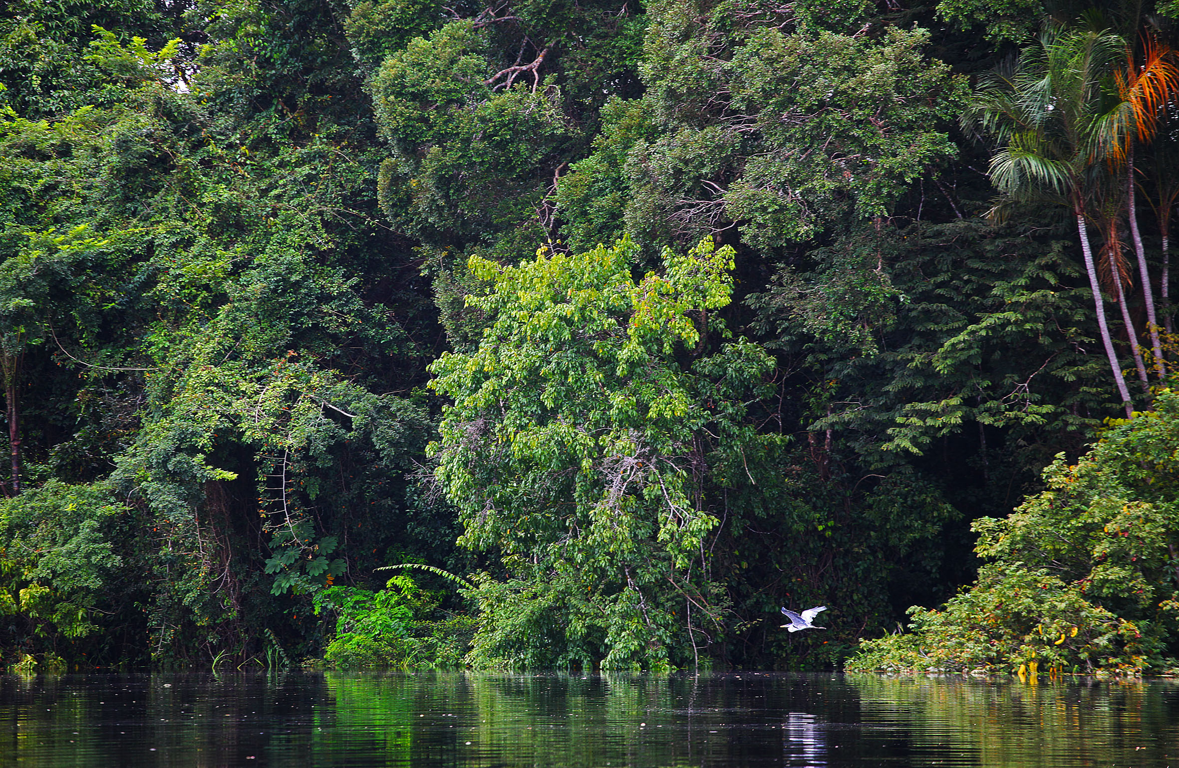 Amazônia_-Foto-Ministério-do-Turismo